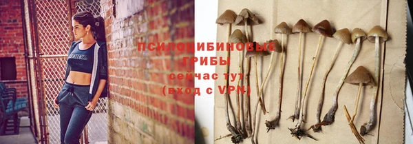 марки nbome Козловка
