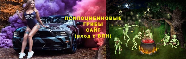 соль ск Козельск