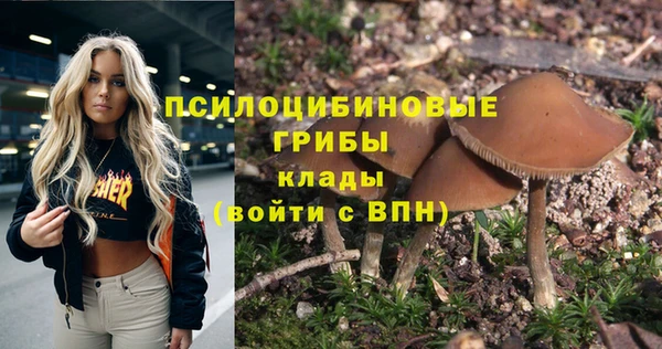 дживик Киренск