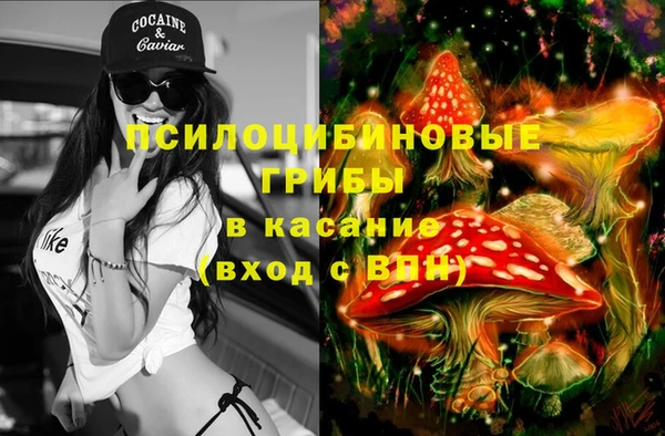 твердый Волосово