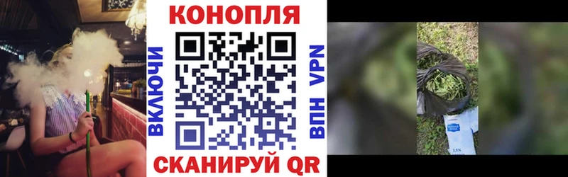 купить  цена  Шиханы  Конопля VHQ 